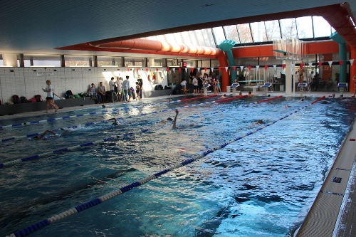 https://www.schwimmsport-vfl-waiblingen.de/content/igal/k-img_2539-9XNT3J-L-479.jpg