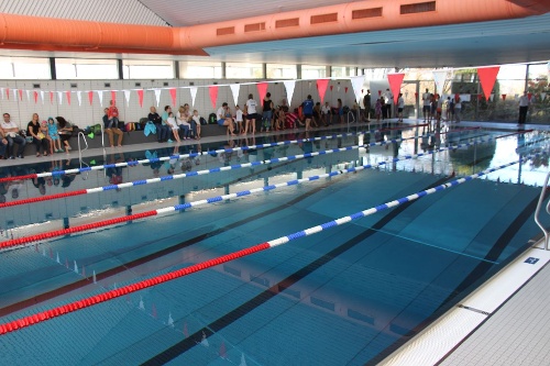 https://www.schwimmsport-vfl-waiblingen.de/content/igal/k-img_2583-TYWNMC-L-492.jpg